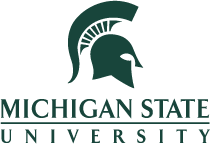 Director of Center for Teaching and Learning Innovation