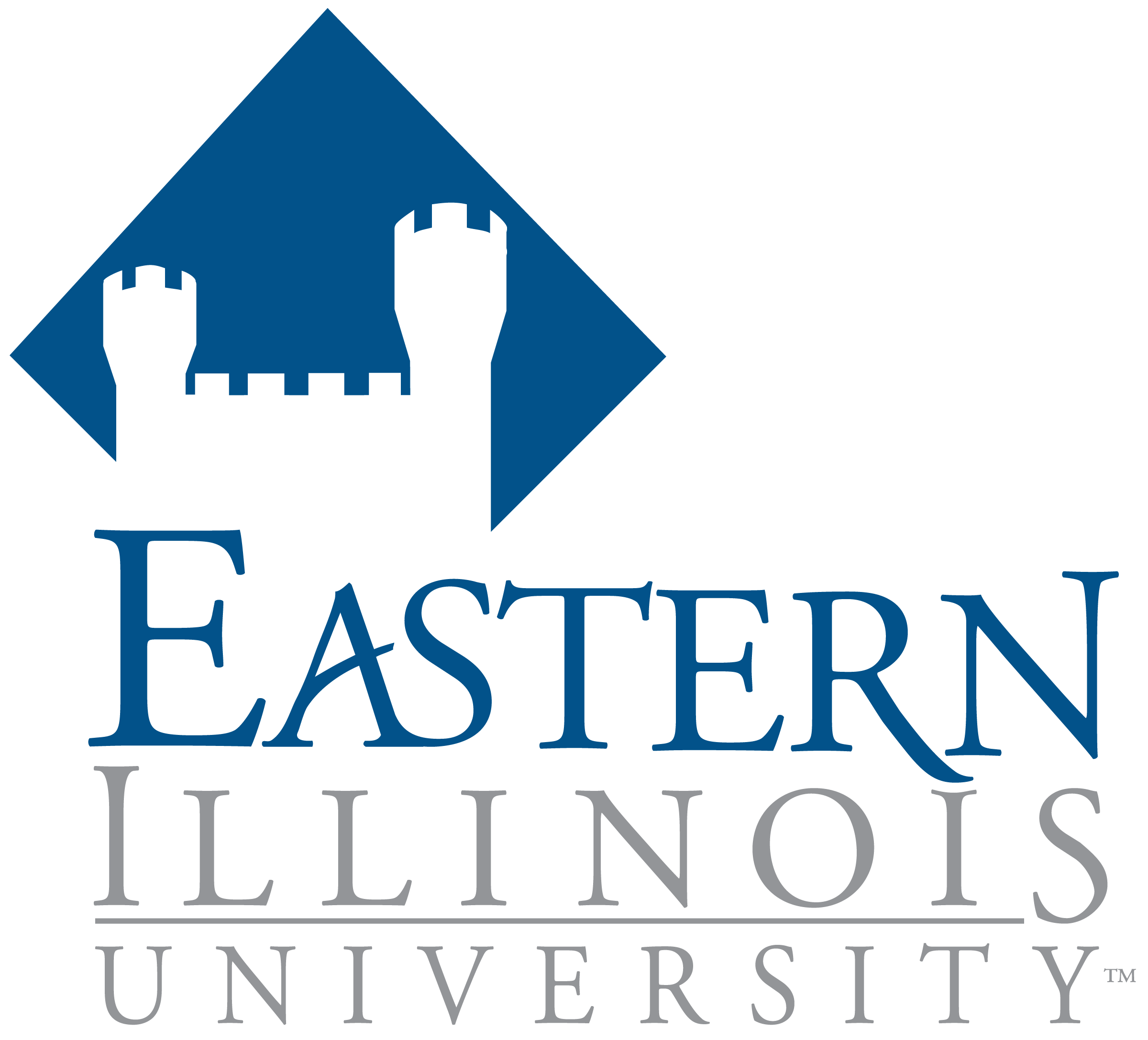 Instructional Designer