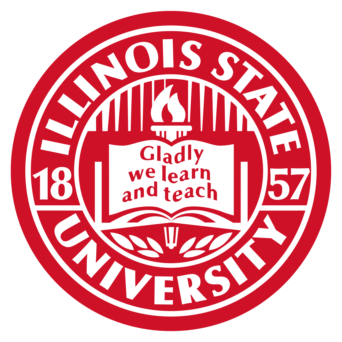 Director of Scholarly Teaching