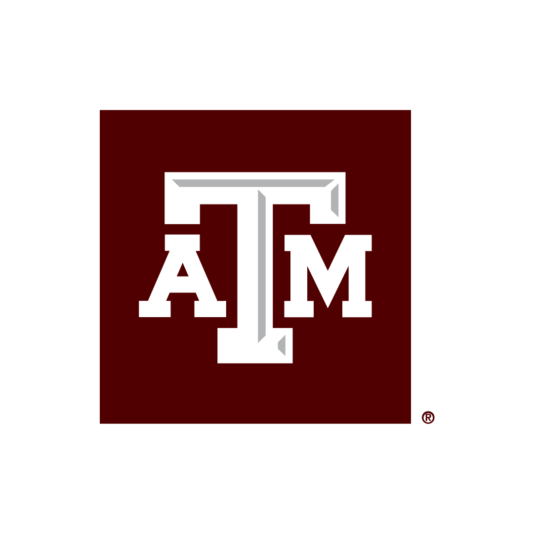 Texas A&M University Center For Teaching Excellence Executive Director