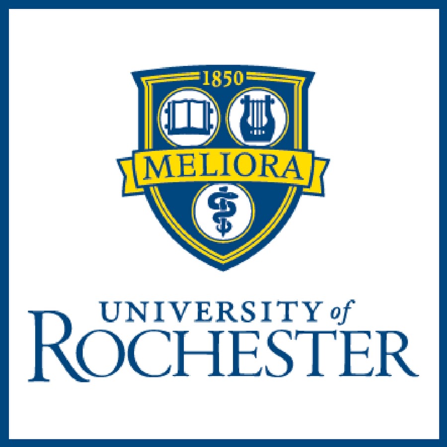 Assistant Director of Instructional Development