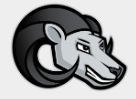 Educational Developer