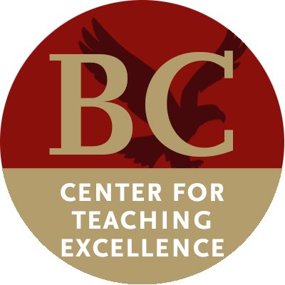 Assistant Director for Teaching, Learning, and Technology
