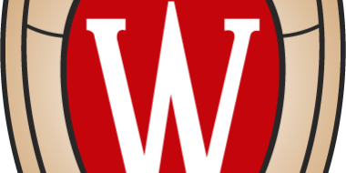 Teaching & Learning Developer